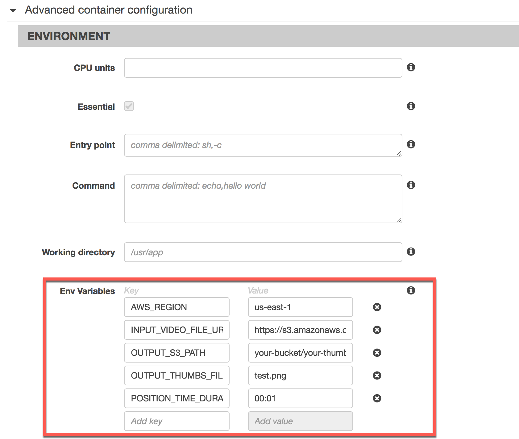 Advanced container configuration: Environment
