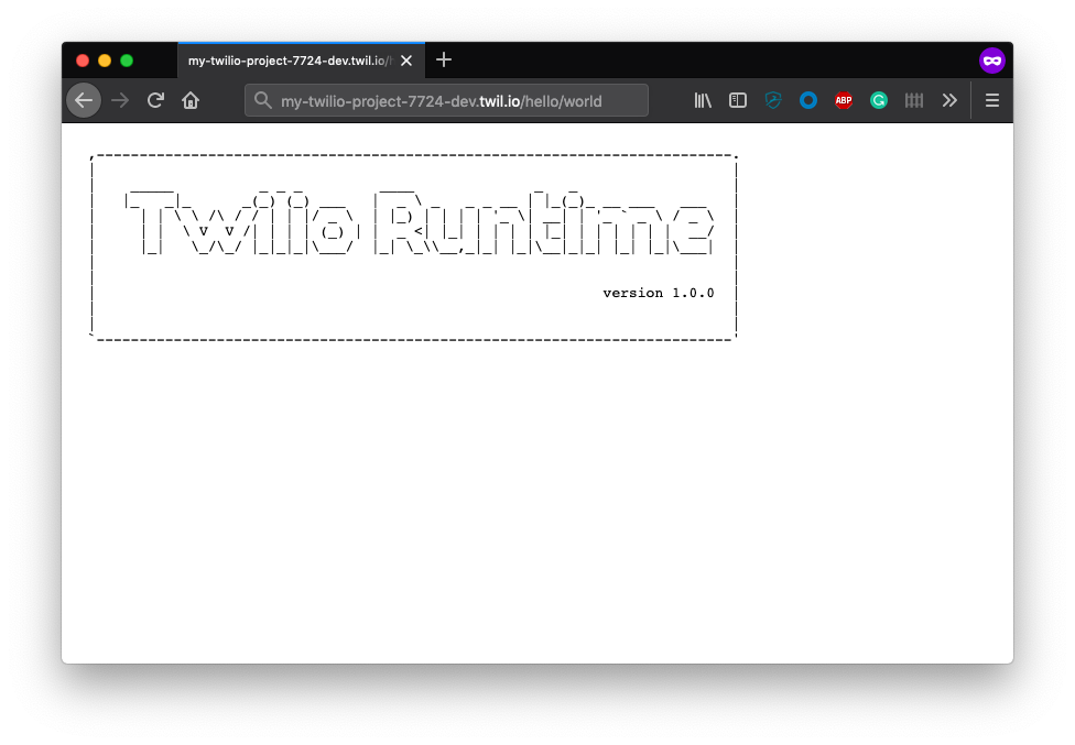 Twilio runtime page