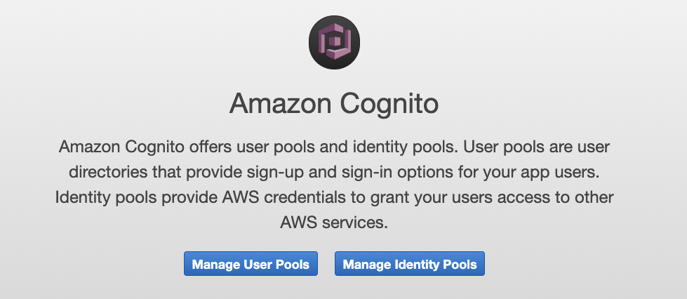Image of the Amazon Cognito Dashboard entry page